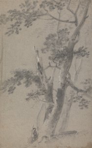 木の下に座っている羊飼い 作： Richard Wilson